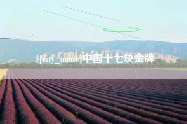 哈密中国十七块金牌