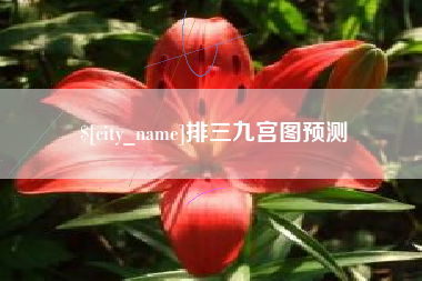 哈密排三九宫图预测