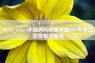 哈密中国消防救援学院2021年浙江省录取分数线