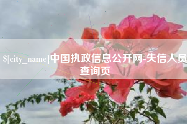 哈密中国执政信息公开网-失信人员查询页