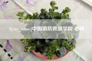 哈密中国消防救援学院 老师