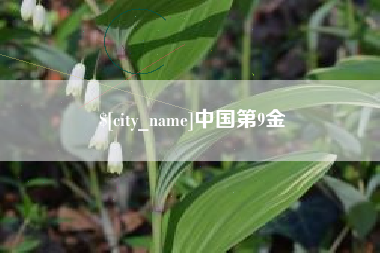 哈密中国第9金