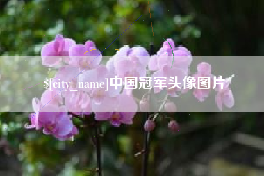 哈密中国冠军头像图片