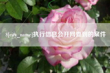 哈密执行信息公开网查到的案件