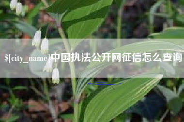 哈密中国执法公开网征信怎么查询