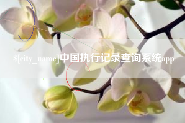 哈密中国执行记录查询系统app