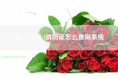 哈密消防证怎么查询系统