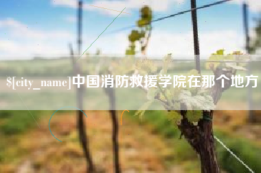 哈密中国消防救援学院在那个地方