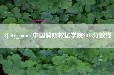 哈密中国消防救援学院2018分数线