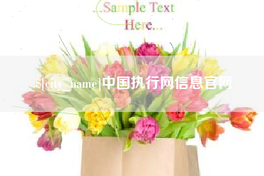 哈密中国执行网信息官网