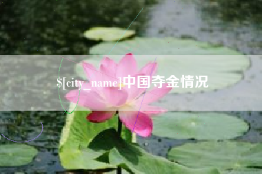 哈密中国夺金情况