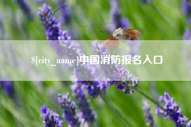 哈密中国消防报名入口