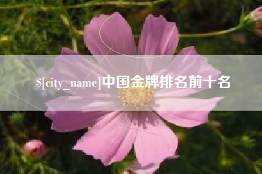哈密中国金牌排名前十名