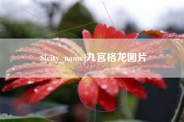 哈密九宫格龙图片