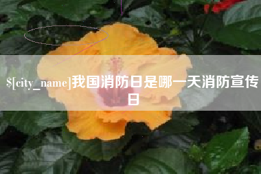 哈密我国消防日是哪一天消防宣传日