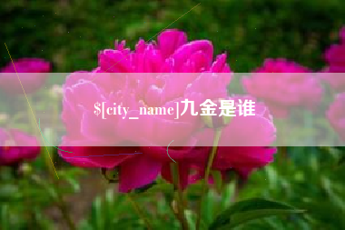 哈密九金是谁