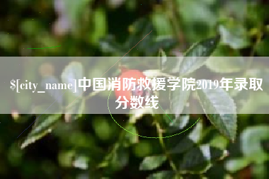 哈密中国消防救援学院2019年录取分数线