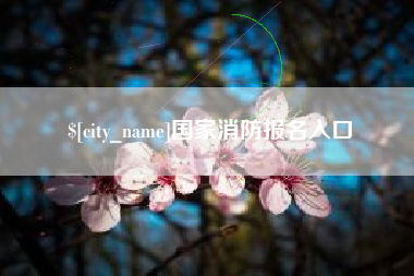 哈密国家消防报名入口