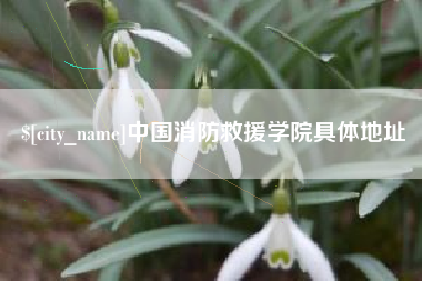 哈密中国消防救援学院具体地址