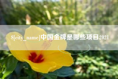 哈密中国金牌是哪些项目2021