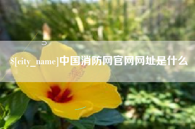 哈密中国消防网官网网址是什么