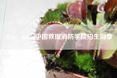哈密中国救援消防学院招生简章