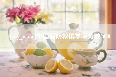 哈密中国消防救援学院分数2020