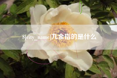 哈密九金指的是什么