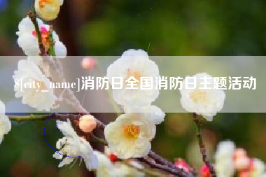 哈密消防日全国消防日主题活动