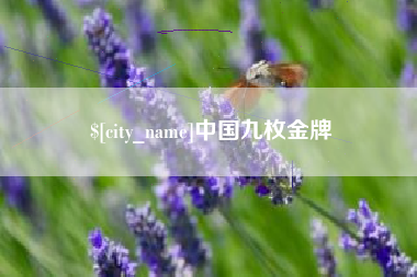 哈密中国九枚金牌