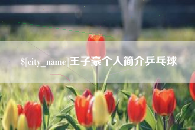 哈密王子豪个人简介乒乓球
