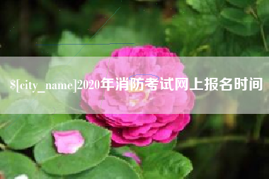 哈密2020年消防考试网上报名时间
