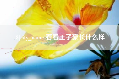 哈密看看王子豪长什么样