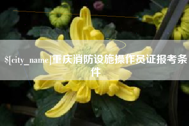 哈密重庆消防设施操作员证报考条件