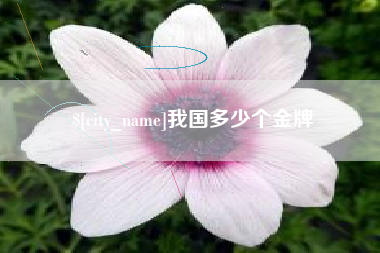 哈密我国多少个金牌