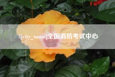哈密全国消防考试中心