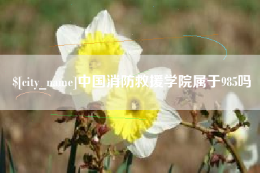 哈密中国消防救援学院属于985吗