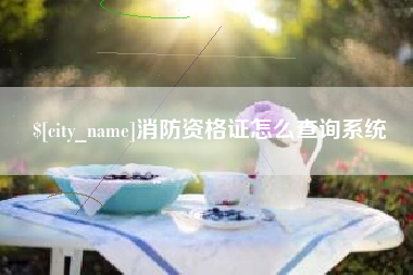 哈密消防资格证怎么查询系统