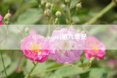 哈密第九金是