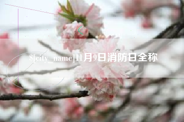 哈密11月9日消防日全称