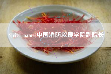 哈密中国消防救援学院副院长