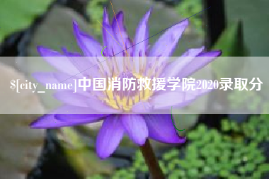 哈密中国消防救援学院2020录取分