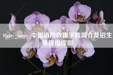 哈密中国消防救援学院简介及招生章程指挥部