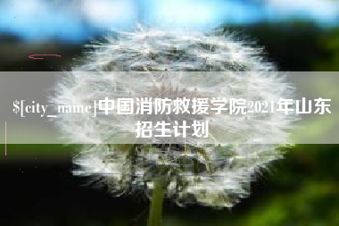 哈密中国消防救援学院2021年山东招生计划
