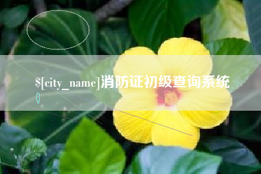 哈密消防证初级查询系统