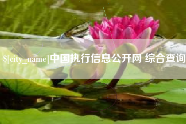 哈密中国执行信息公开网 综合查询