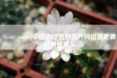 哈密中国执行信息公开网信息更新时间是多久