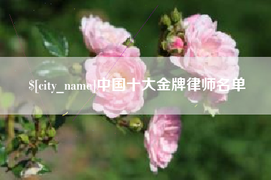 哈密中国十大金牌律师名单