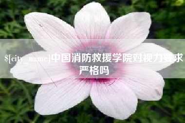 哈密中国消防救援学院对视力要求严格吗