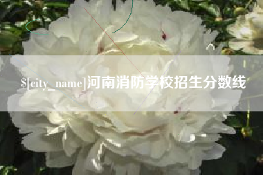 哈密河南消防学校招生分数线